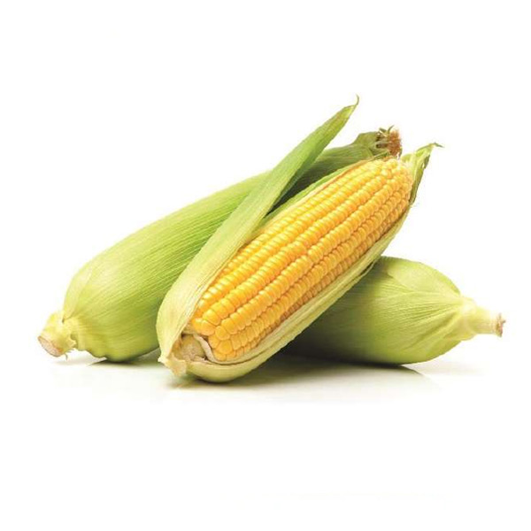 Good%20Food